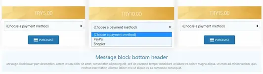 payment-metod.webp